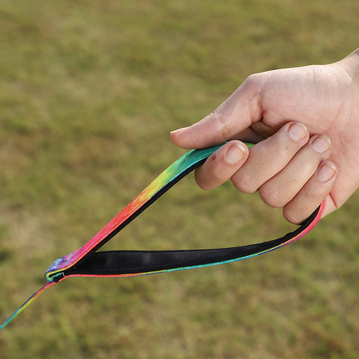ZL Rainbow Dog Leash