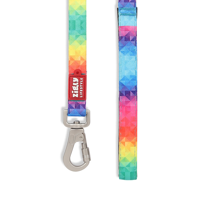 ZL Rainbow Dog Leash