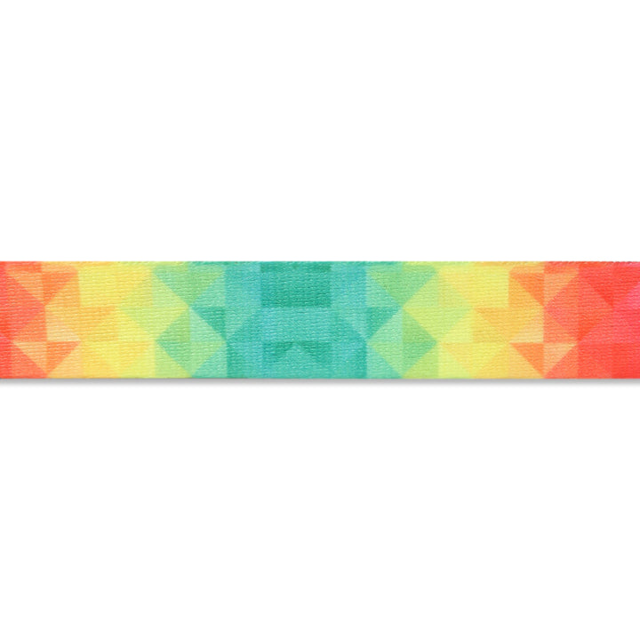ZL Rainbow Dog Leash