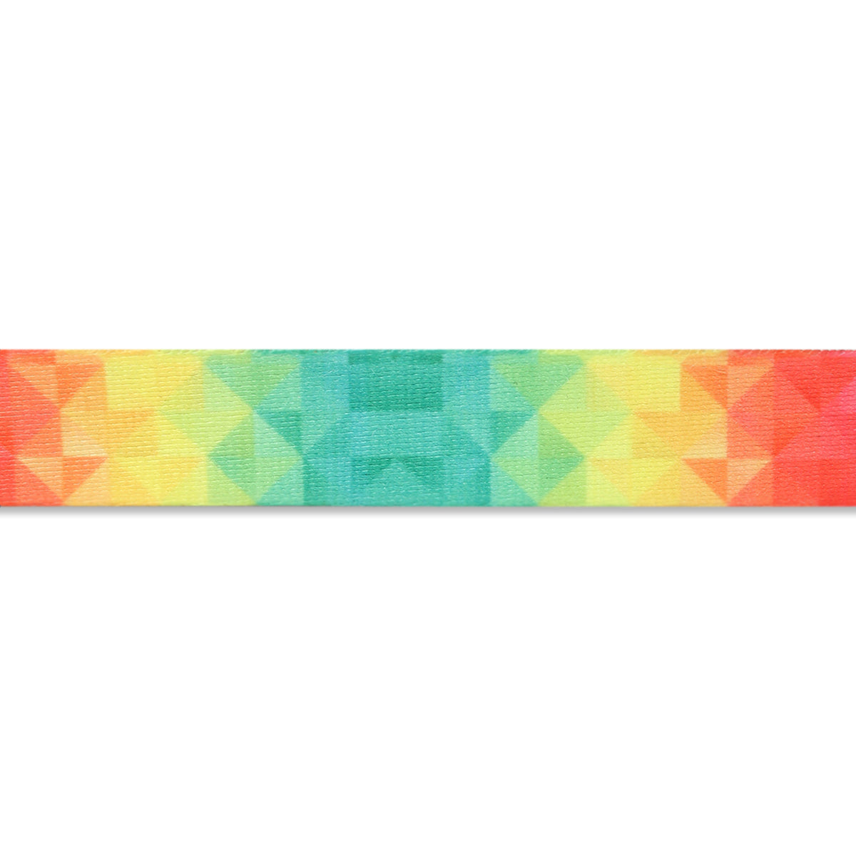 ZL Rainbow Dog Leash