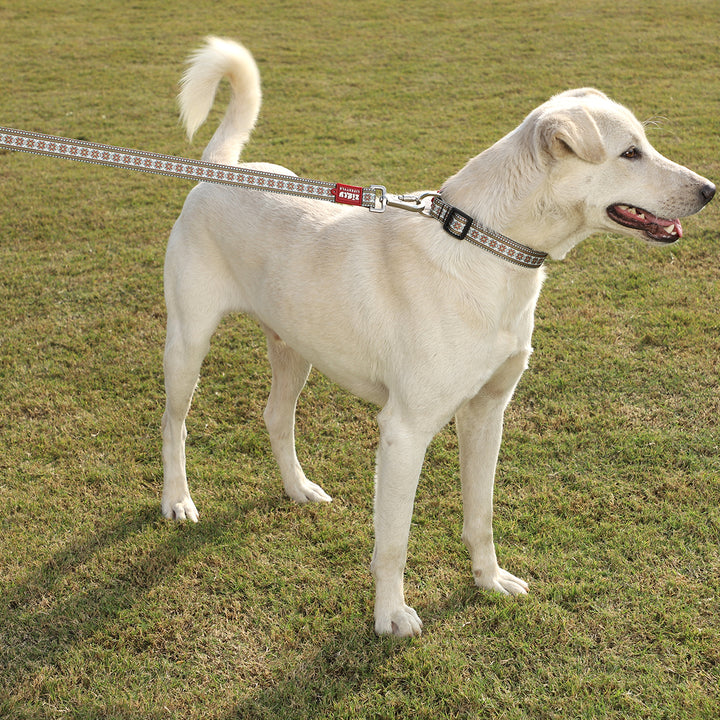 ZL Heritage Dog Leash
