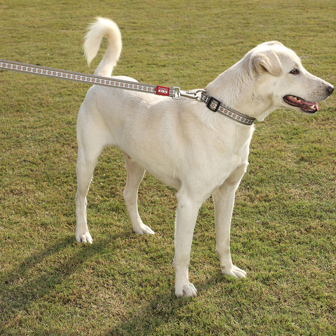 ZL Heritage Dog Leash