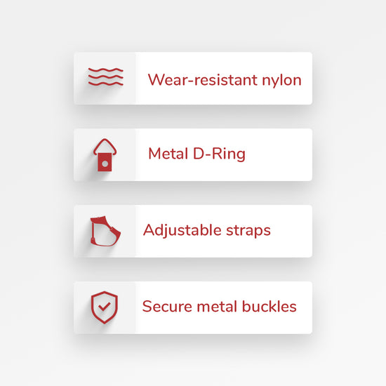 zl-disco-harness