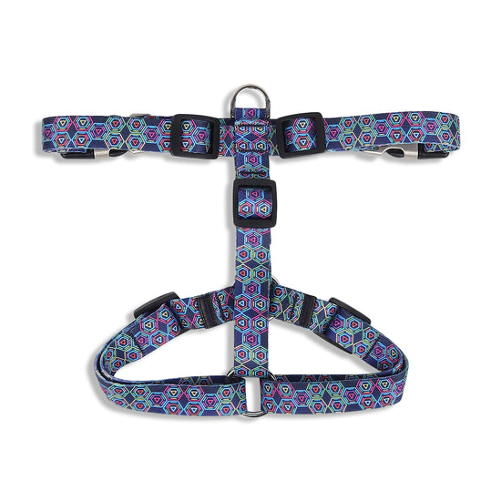 zl-disco-harness