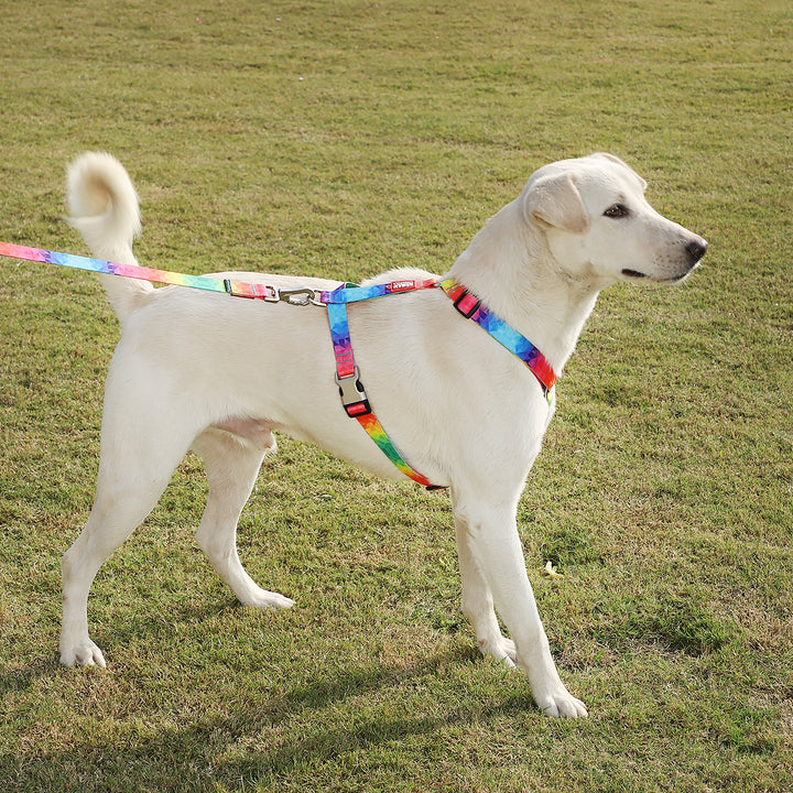 ZL Rainbow Dog Harness