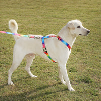 ZL Rainbow Dog Harness