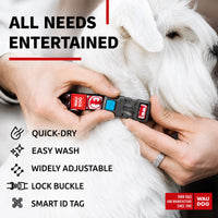 Waudog Batman Plastic Fastex Nylon Dog Collar