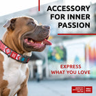 Waudog Etno Red Pattern Plastic Fastex Nylon Dog Collar