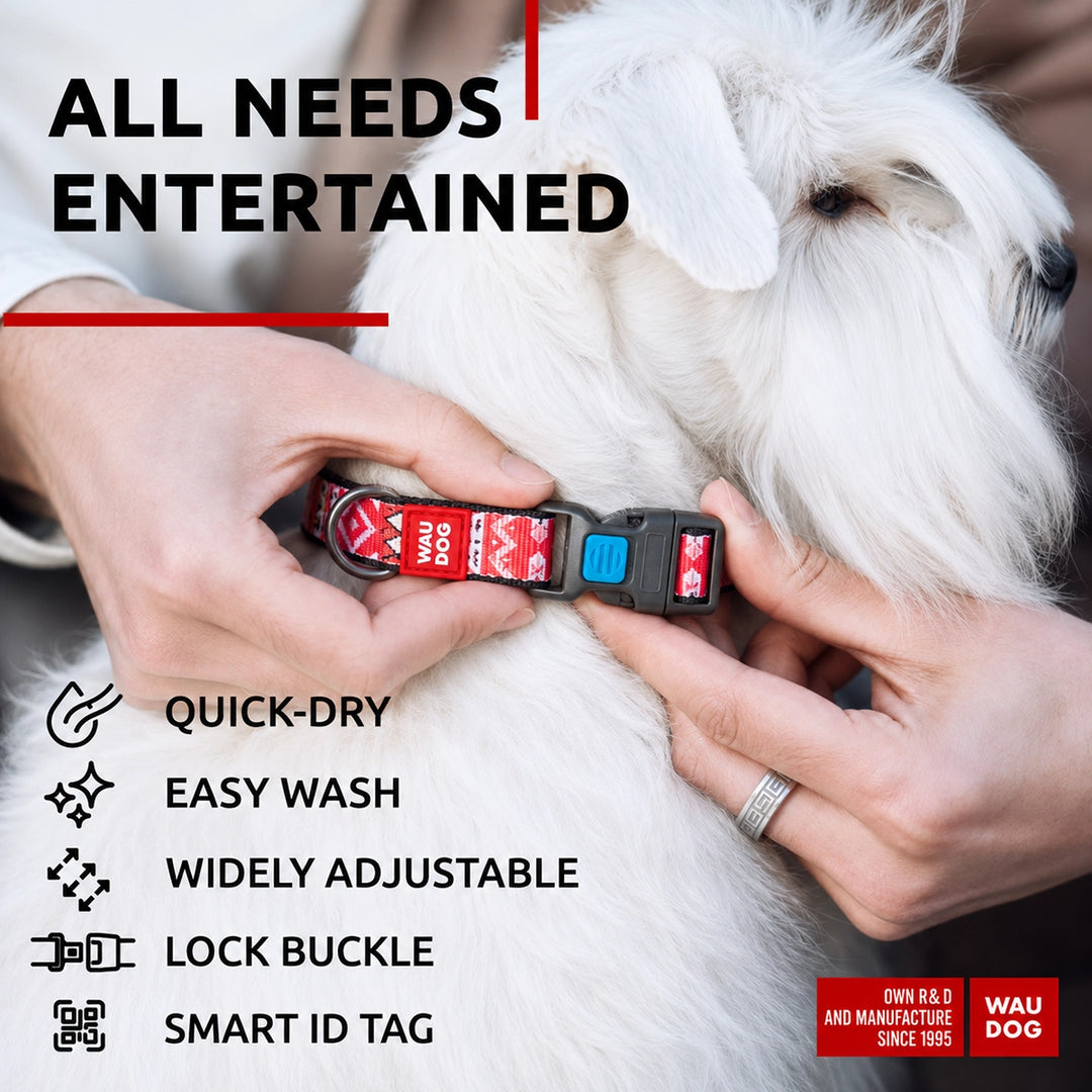 Waudog Etno Red Pattern Plastic Fastex Nylon Dog Collar