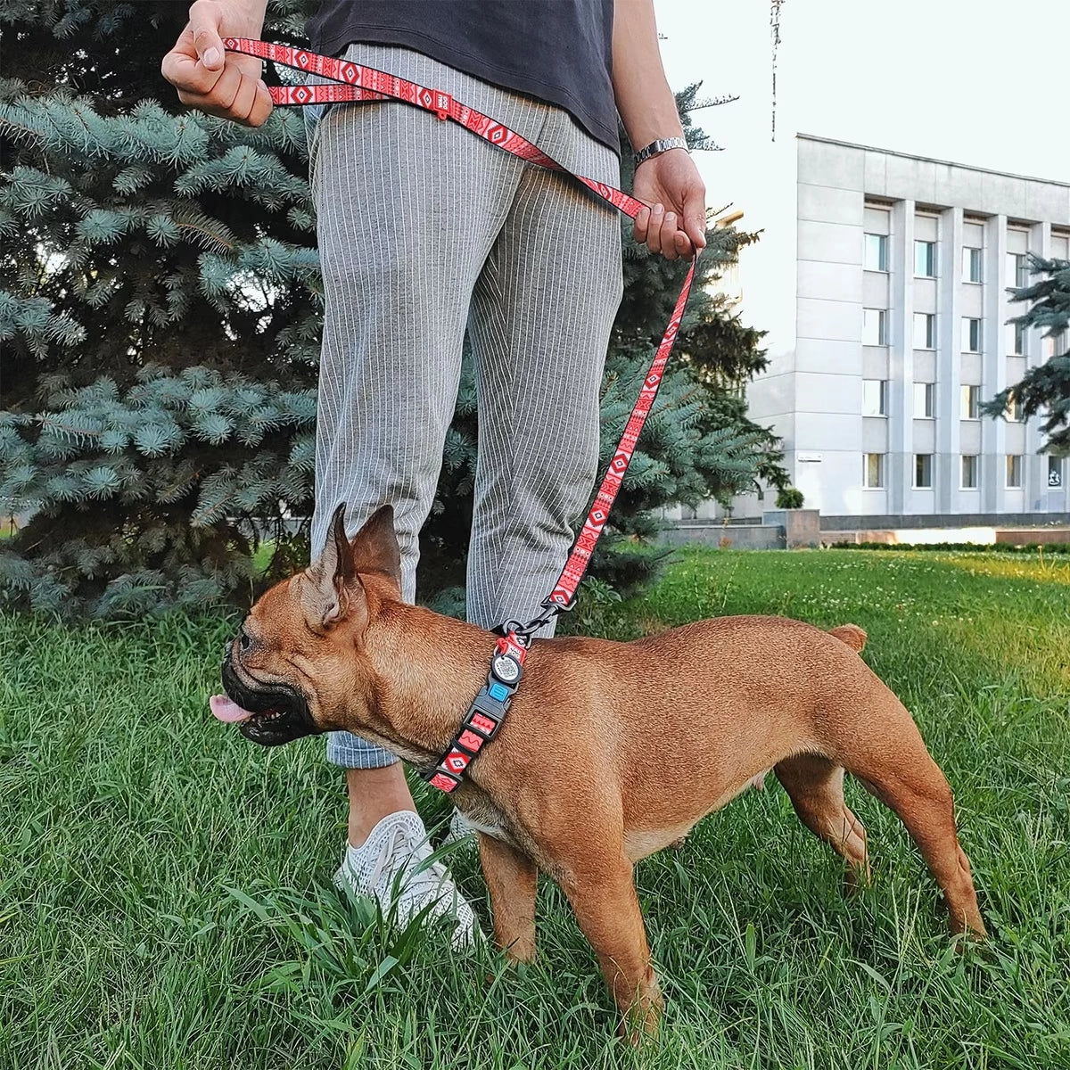 Waudog Etno Red Pattern Nylon Dog Leash