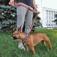Waudog Etno Red Pattern Nylon Dog Leash