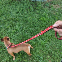 Waudog Etno Red Pattern Nylon Dog Leash