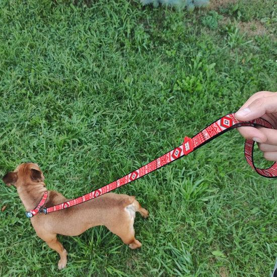 Waudog Etno Red Pattern Nylon Dog Leash
