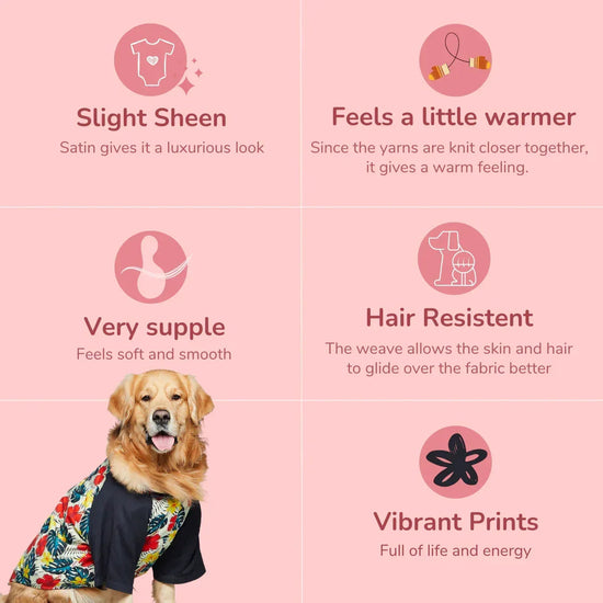 beboji Fern Fantasy Dog Shirt - Zigly