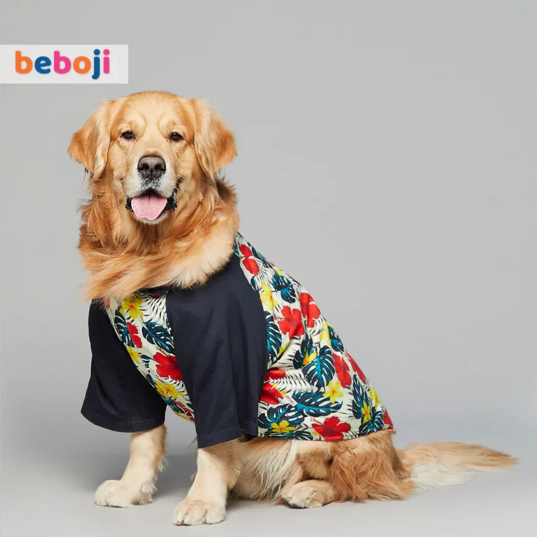 beboji Fern Fantasy Dog Shirt - Zigly