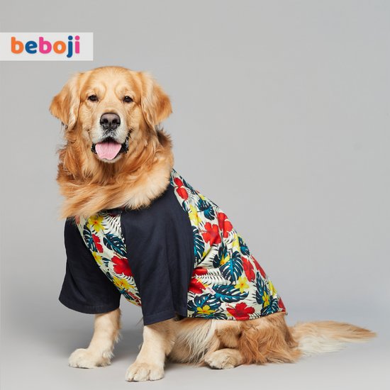 beboji-fern-fantasy-dog-shirt
