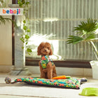 beboji Hawaiian Heart Dog Tshirt - 4XL - Zigly