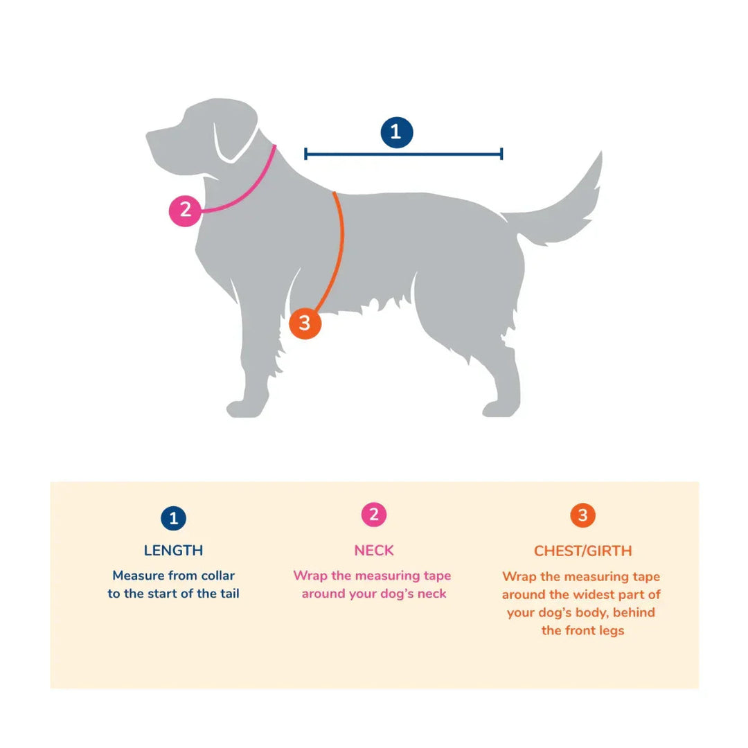 beboji Space Ship Dog Shirt - Zigly