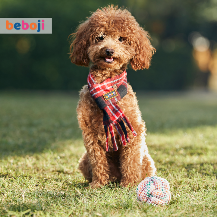beboji Tartan Checks Muffler for Dogs & Cats