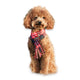 beboji Tartan Checks Muffler for Dogs & Cats