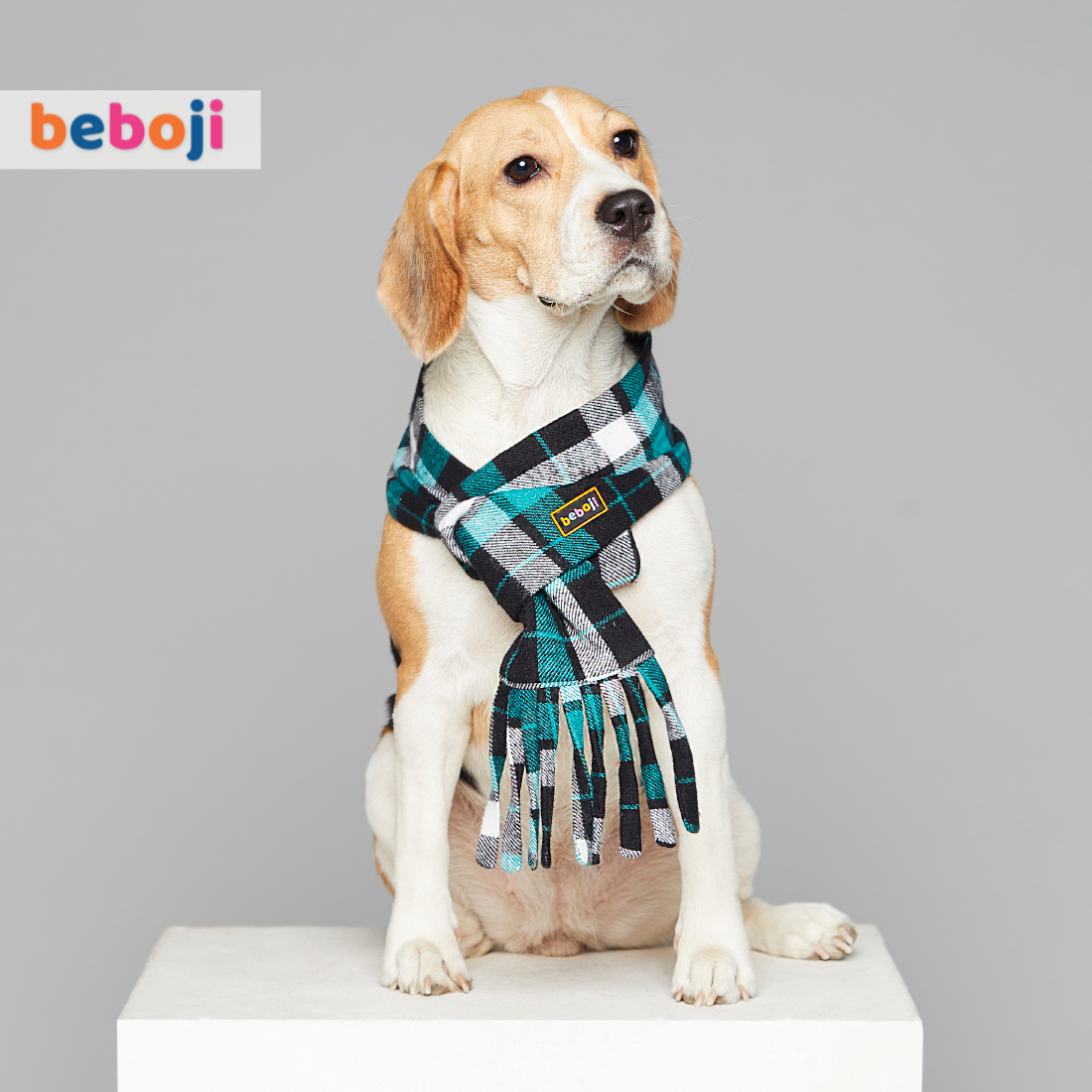 beboji Plaid Checks Muffler for Dogs & Cats
