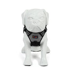 White dog mannequin wearing a gray beboji dog harness with black straps and zigly tag