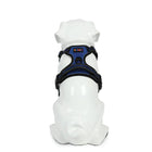 White dog mannequin wearing blue and black beboji harness with zigly branding