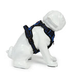 White dog mannequin wearing blue and black adjustable pet harness with striped design by Zigly