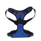 Blue adjustable beboji dog harness with black straps and reflective zigly details