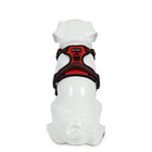 White dog mannequin wearing red and black beboji harness with zigly design elements