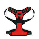 Red and black adjustable dog harness with beboji label, sturdy straps, and metal D-ring attachment zigly
