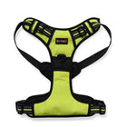 Zigly bright green bebboji dog harness with black straps and adjustable buckles