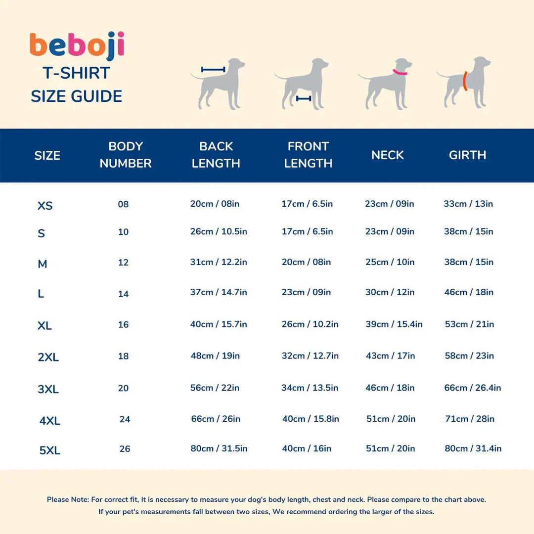 beboji Pack Of Dogs Orange T-Shirt - Zigly