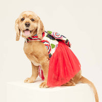 beboji Big Bow Flare Dog Frock
