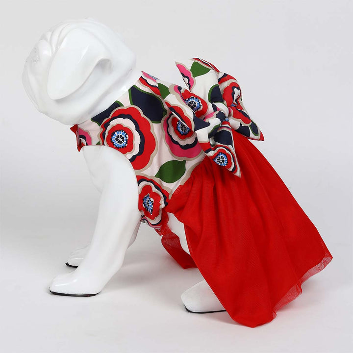 beboji Big Bow Flare Dog Frock