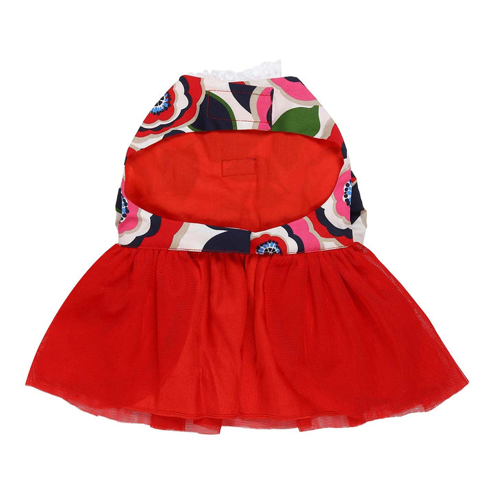 beboji Big Bow Flare Dog Frock