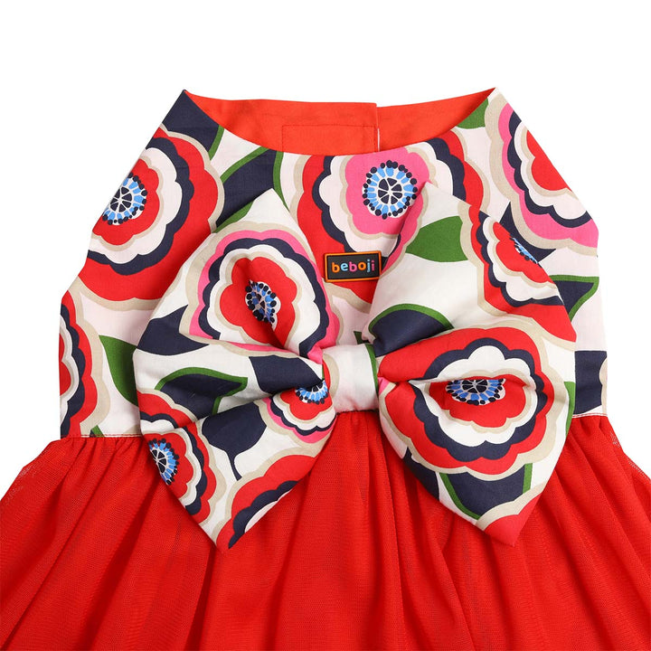 beboji Big Bow Flare Dog Frock