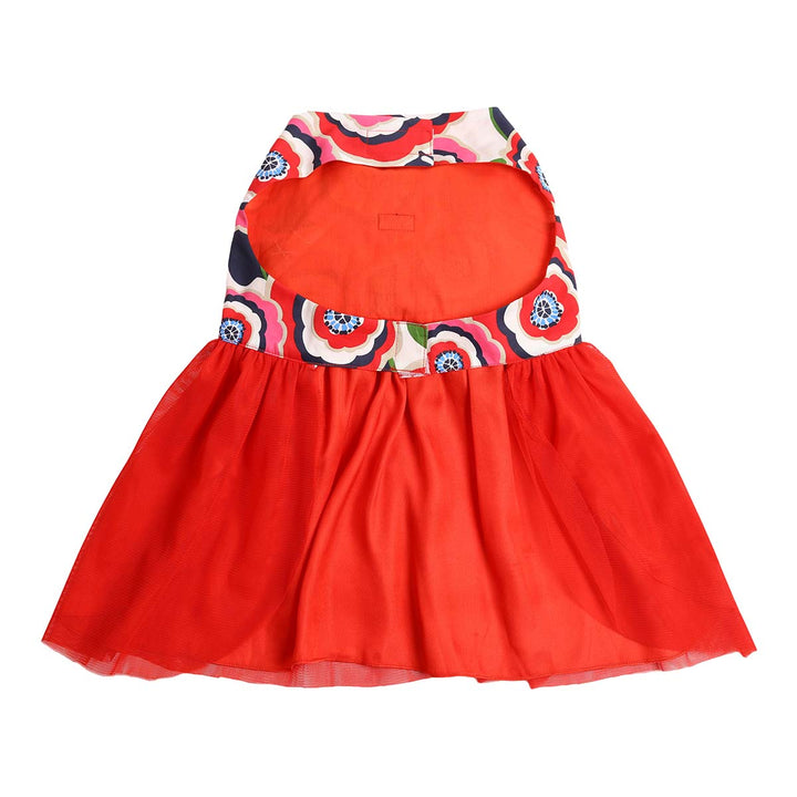 beboji Big Bow Flare Dog Frock