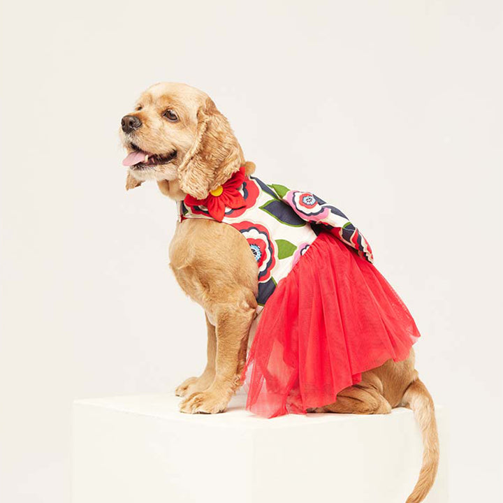 beboji Big Bow Flare Dog Frock