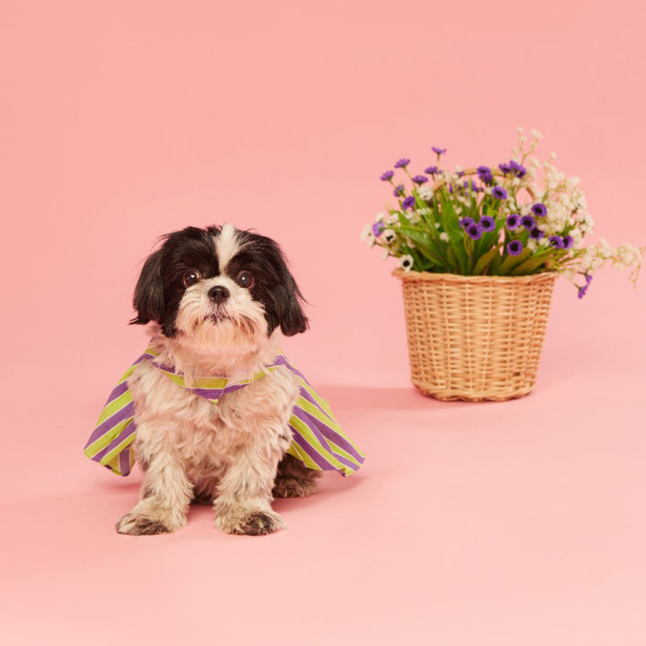 beboji-grassy-stripe-flare-dog-frock