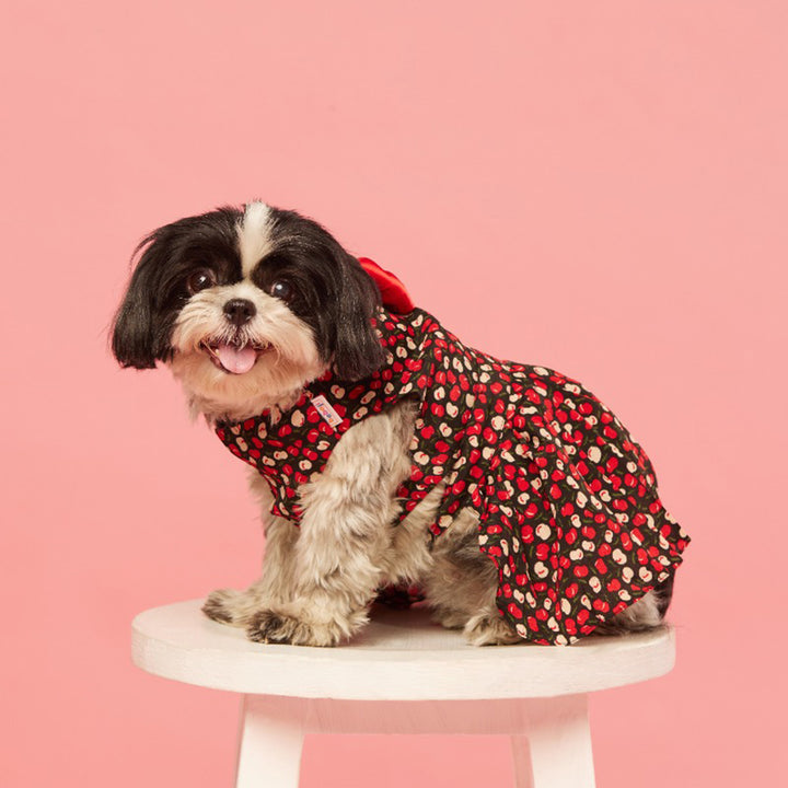 beboji-cherry-printed-flare-set