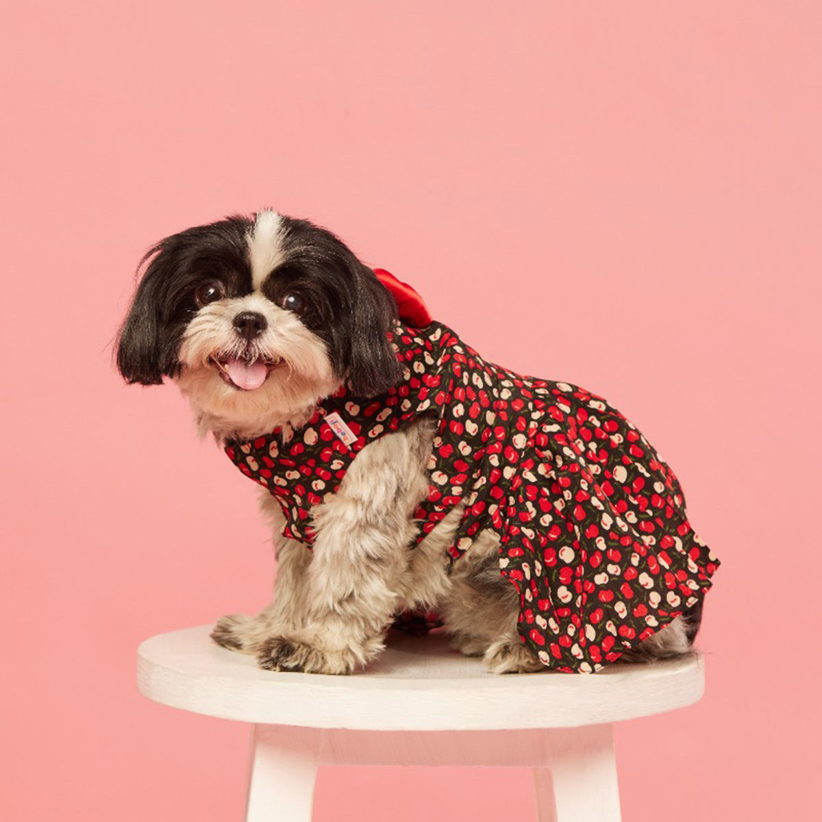beboji-cherry-printed-flare-set