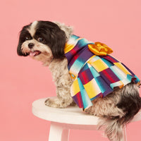 beboji-abstract-printed-classy-dog-frock