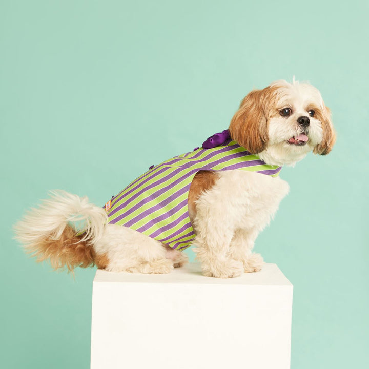 beboji Grassy Stripe Tux with Bow
