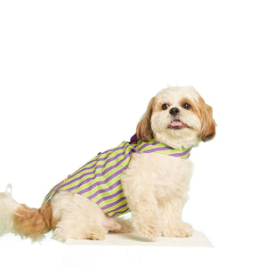 beboji Grassy Stripe Tux with Bow