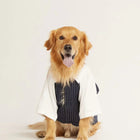 beboji Classy Gentleman Black Stripe Dog Shirt with Bow - Zigly