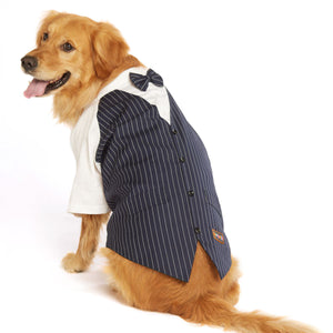 beboji Classy Gentleman Black Stripe Dog Shirt with Bow