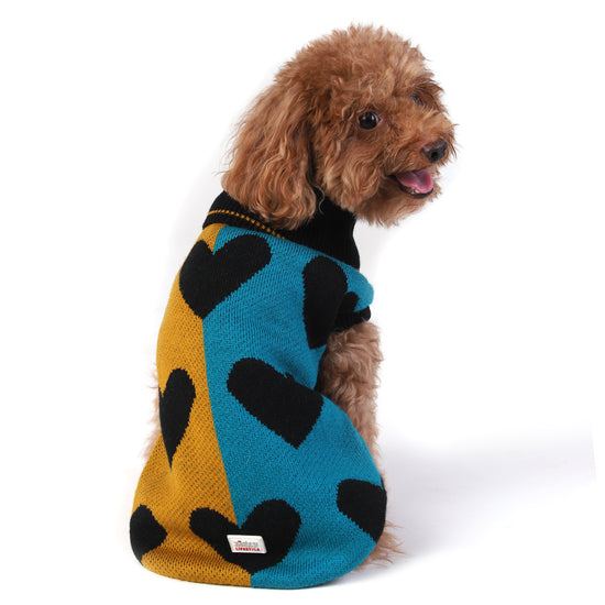 zl-with-all-my-hearts-dog-sweater