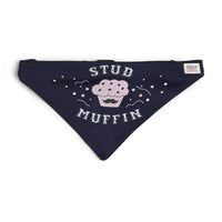 ZL STUD MUFFIN Dog Bandana