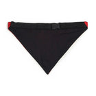 ZL Love Bites Dog Bandana - Zigly